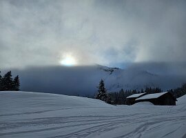 IMG-20250315-WA0025