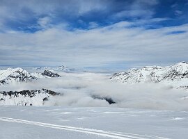 IMG-20250318-WA0013