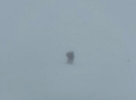IMG-20250331-WA0019