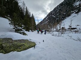 IMG-20250331-WA0017