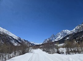 IMG-20250412-WA0004