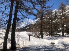 IMG_1480