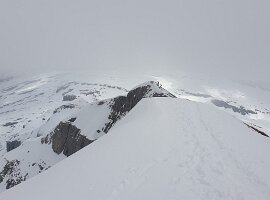 Resized_20250426_121544