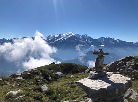 IMG_1765