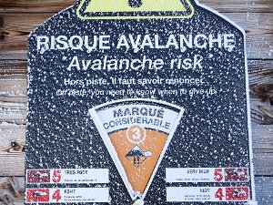 Grands Vans Dimanche 15 décembre 2024