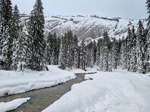 L'Avouille de Bostan Dimanche 05 Janvier 2025