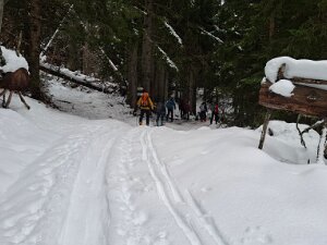 Mont Chery Le samedi 06 novembre 2025